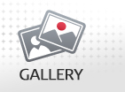 View Gallery